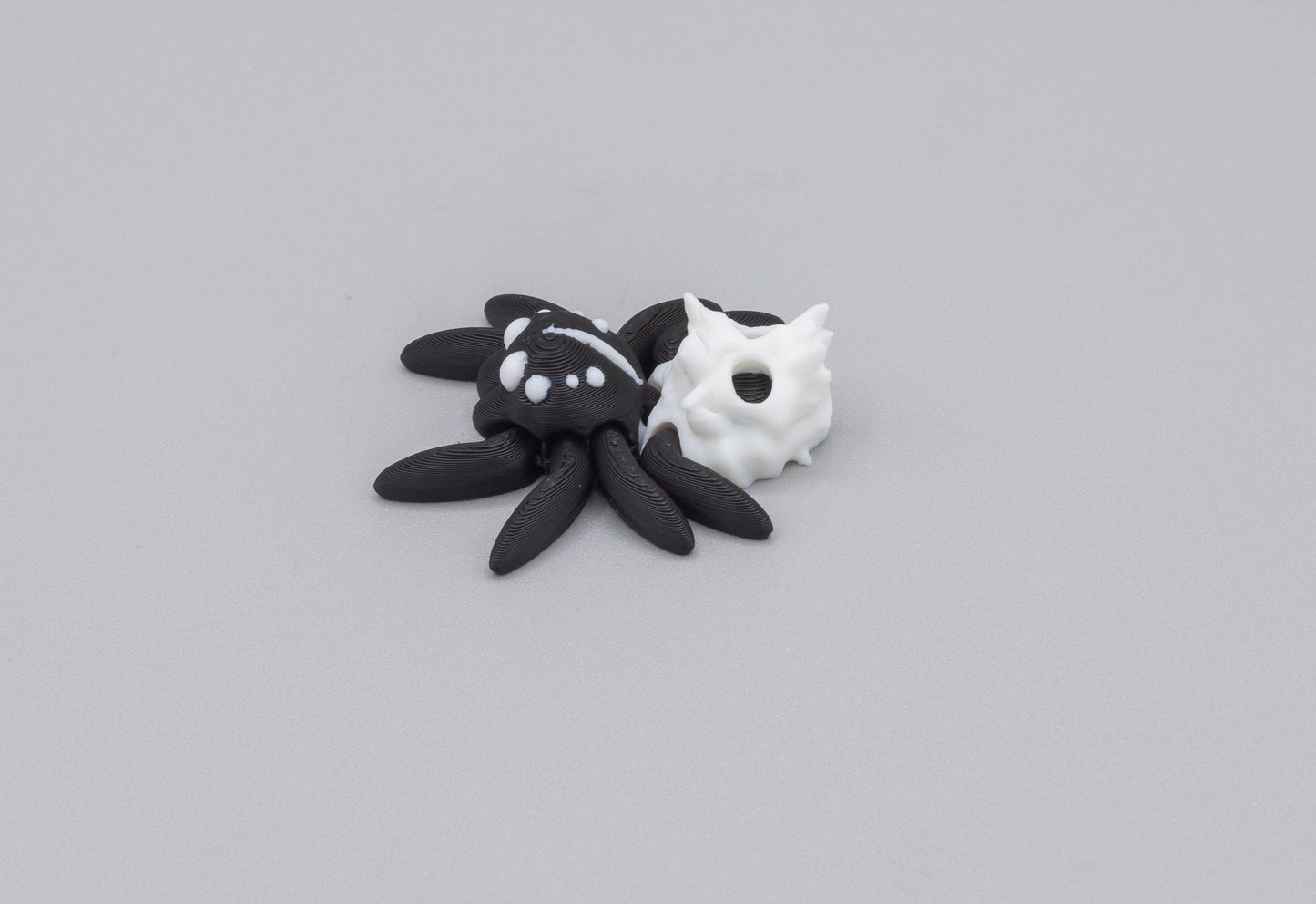 Tiny Spider Skull Hollow